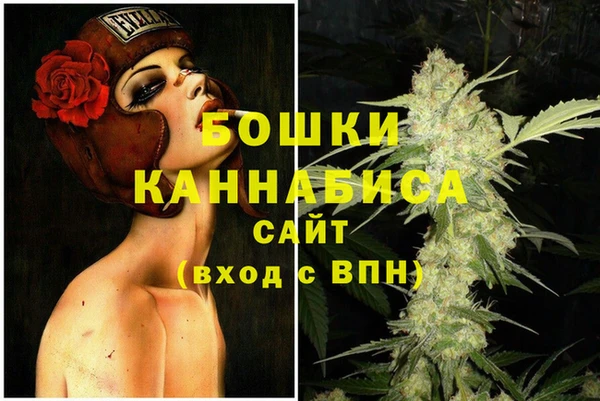дживик Липки
