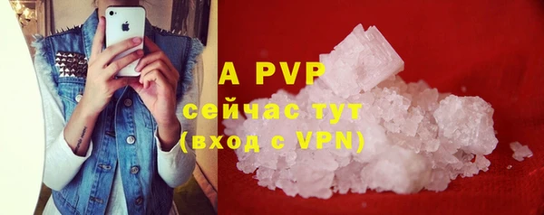 дживик Липки
