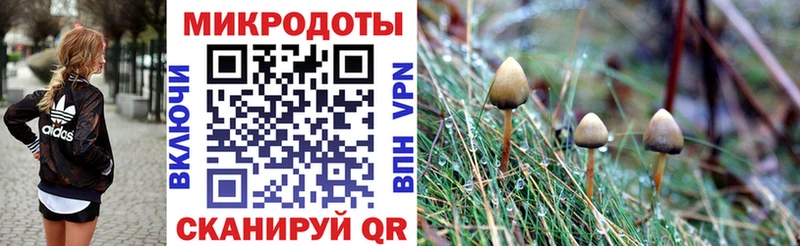 omg вход  это официальный сайт  Псилоцибиновые грибы Psilocybe  Староминская 