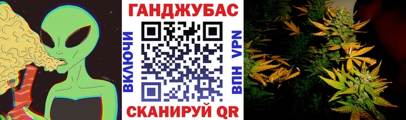 купить  цена  Староминская  Каннабис OG Kush 